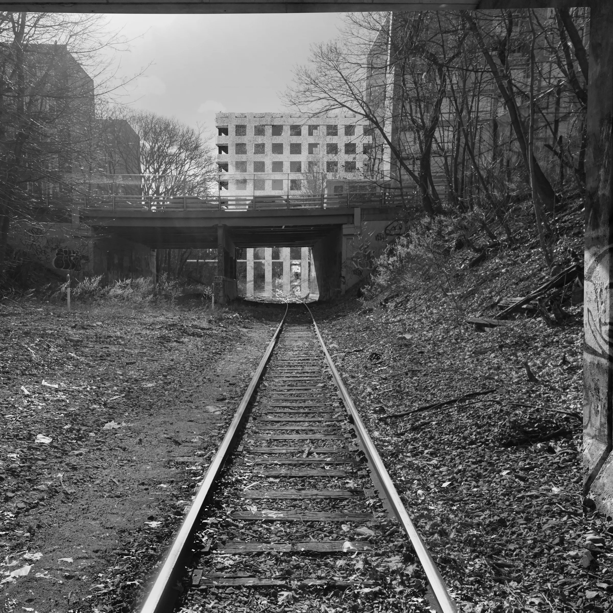 Black-and-white photo of the overgrown rail cut running under a road bridge toward an apartment building — from Many roads to follow by Jack Rusk with Adare Brown (Yale School of Architecture, Spring 2022)