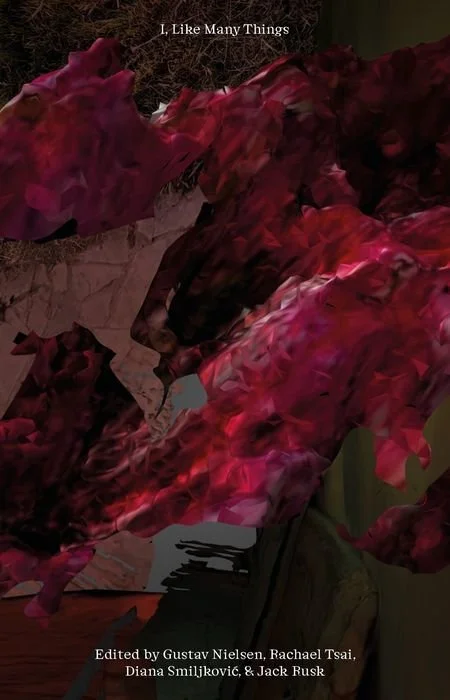 Close-up of a wrinkled pink and red flower in a green vase with text overlay — cover of the book 'I, Like Many Things'