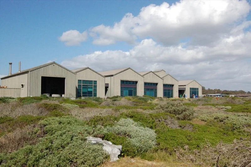 Large industrial warehouse building representing the post-industrial landscapes studied in research on invasive shrub spread and ecological restoration